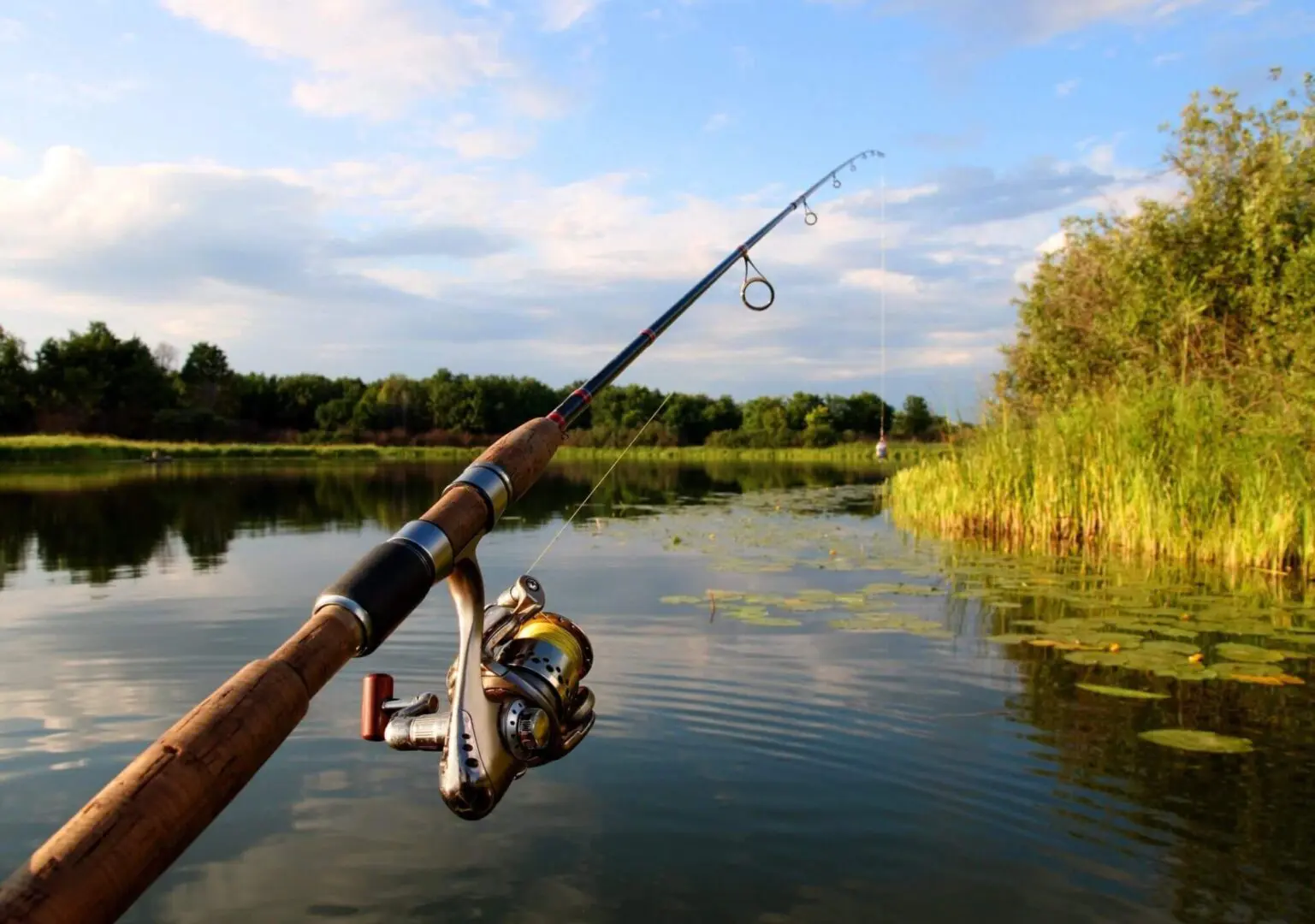 Hunting and Fishing at Cypress Creek Wildlife Refuge